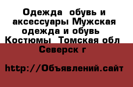 Одежда, обувь и аксессуары Мужская одежда и обувь - Костюмы. Томская обл.,Северск г.